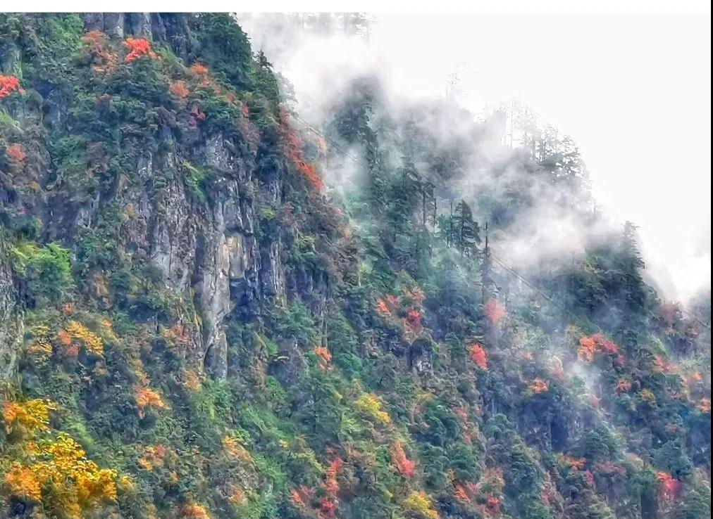 知秋丨瓦屋山