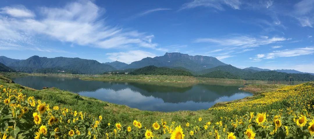 創建天府旅遊名縣 | 洪雅私藏的高山湖泊,向日葵花海,還能露營,燒烤