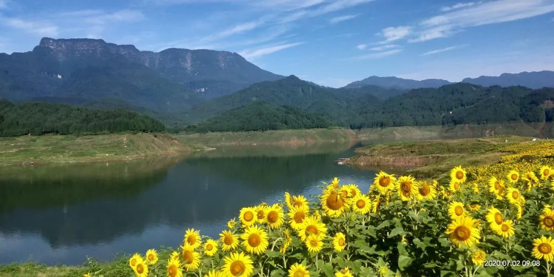 創建天府旅遊名縣 | 洪雅私藏的高山湖泊,向日葵花海,還能露營,燒烤