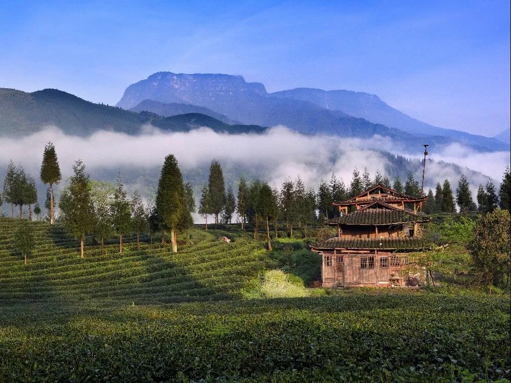 創建天府旅遊名縣 | 你心中的瓦屋山,陪你過最涼爽的慢生活!